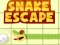 Oyunu Snake escape çevrimiçi