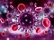 Oyunu Coronavirus Puzzle çevrimiçi