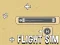 Oyunu Flight Sim çevrimiçi