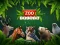 Oyunu ZOO Trivia çevrimiçi