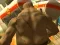 Oyunu Monster Simulator çevrimiçi