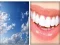 Oyunu 4x1 Picture Quiz çevrimiçi