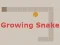 Oyunu Growing Snake çevrimiçi