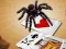 Oyunu Jumping Spider çevrimiçi