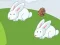 Oyunu Crazy Eggs çevrimiçi