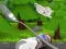 Oyunu Monte's Zott: Flight on a spoon çevrimiçi