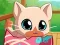 Oyunu My Pocket Pets Kitty Cat çevrimiçi