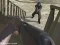 Oyunu Western:Invasion çevrimiçi