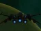 Oyunu Spaceship Arena çevrimiçi