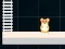 Oyunu Hamster Grid Even Odd çevrimiçi