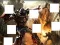 Oyunu Transformers 3 image puzzles çevrimiçi