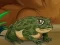 Oyunu Frogs Matching çevrimiçi