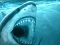 Oyunu Hungry Shark çevrimiçi