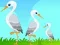 Oyunu Little Garden Escape çevrimiçi