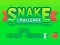 Oyunu Snake Challenge çevrimiçi