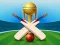 Oyunu Cricket Champions Cup çevrimiçi