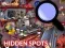 Oyunu Hidden Spots In The Room çevrimiçi