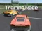Oyunu Training Race çevrimiçi