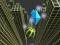 Oyunu Marble Rolling Stunt çevrimiçi