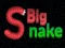 Oyunu Big Snake.io çevrimiçi