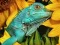 Oyunu Ultimate Puzzles Animals 6 çevrimiçi