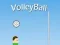 Oyunu VolleyBall çevrimiçi
