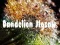 Oyunu Dandelion Jigsaw çevrimiçi