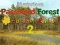 Oyunu Mysterious Password Forest Autumn Edition 2 çevrimiçi