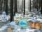 Oyunu Winter Wonderland Forest Adventure çevrimiçi