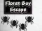 Oyunu Floret Boy Escape çevrimiçi