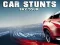 Oyunu Car Stunts Sky Tour çevrimiçi