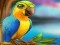 Oyunu Little Parrot Escape çevrimiçi