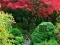 Oyunu Maple Leaf Garden Escape çevrimiçi