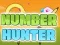 Oyunu Number Hunter çevrimiçi