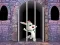 Oyunu Victory Rabbit Escape çevrimiçi
