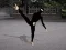Oyunu Ninja Academy çevrimiçi