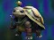 Oyunu Isolated Turtle Escape çevrimiçi