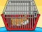 Oyunu Rescue The Hamster From Cage çevrimiçi
