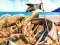 Oyunu Pirate Mysteries çevrimiçi