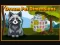 Oyunu Dream Pet Dimensions çevrimiçi