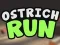 Oyunu Ostrich Run çevrimiçi