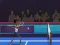 Oyunu Badminton Brawl çevrimiçi