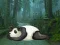 Oyunu Wakeup The Sleeping Panda çevrimiçi