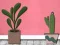 Oyunu Find Houseplant çevrimiçi