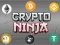 Oyunu Crypto Ninja çevrimiçi