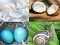 Oyunu 4 Pics 1 Word Game çevrimiçi