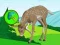Oyunu The Deer Meadow Escape çevrimiçi