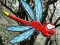 Oyunu Escape From Dragonfly Forest çevrimiçi