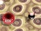 Oyunu Bouncing Blob çevrimiçi