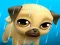 Oyunu My Virtual Pet Louie the Pug çevrimiçi